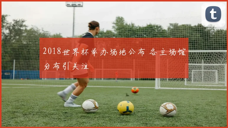 2018世界杯举办场地公布 各主场馆分布引关注