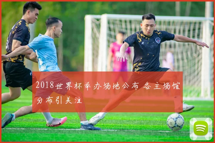 2018世界杯举办场地公布 各主场馆分布引关注